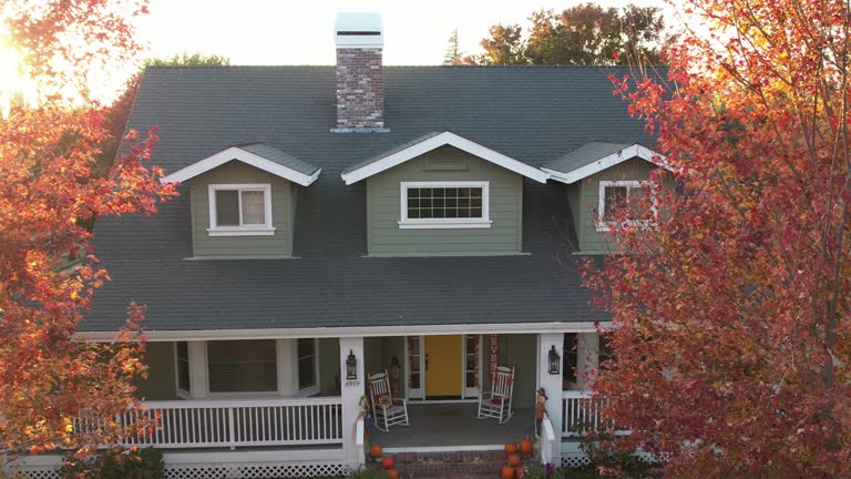 Best Roof Moss and Algae Removal  in Dry Ridge, KY